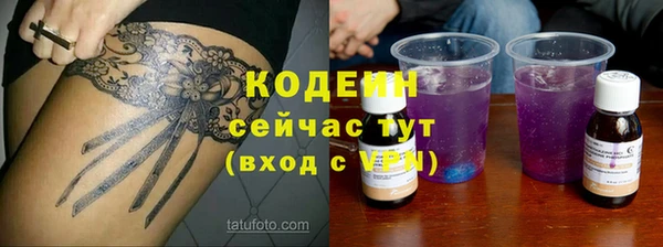 гидра Горнозаводск