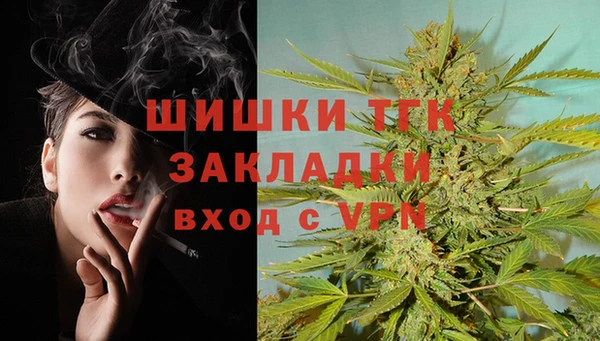 гашик Вяземский