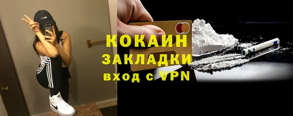 сатива Вязники