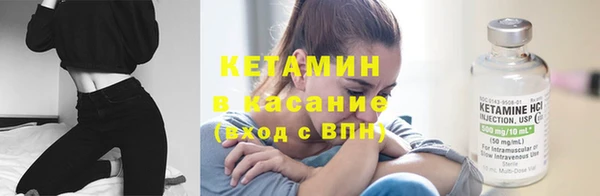 гашик Вяземский