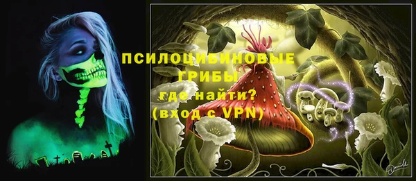 гидра Горнозаводск