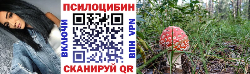 Псилоцибиновые грибы прущие грибы  купить наркотики сайты  Заречный 